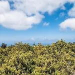 In Tenerife With Private Garden Feriehus *