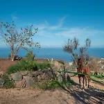 In Tenerife With Private Garden Feriehus *