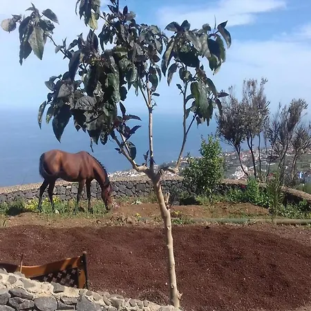 度假居 In Tenerife With Private Garden *