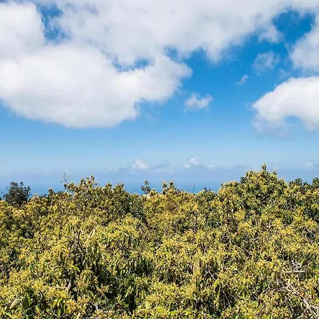 In Tenerife With Private Garden 度假居 *