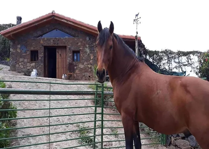 In Tenerife With Private Garden *