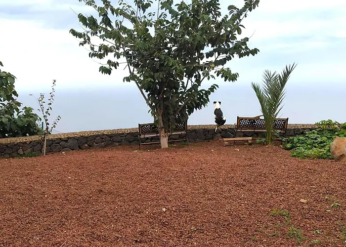 In Tenerife With Private Garden *