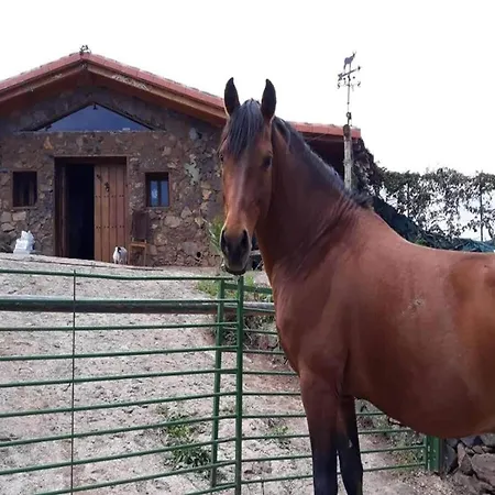 In Tenerife With Private Garden *