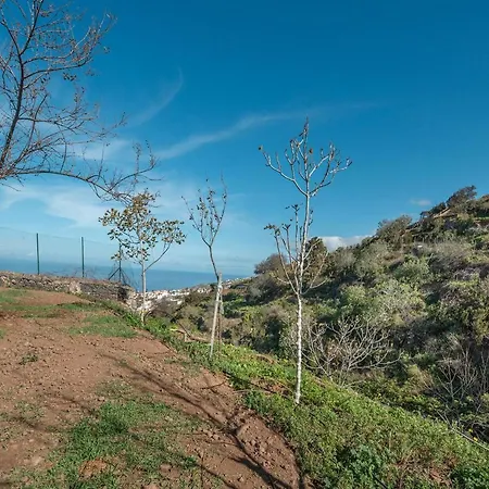 Nyaraló In Tenerife With Private Garden