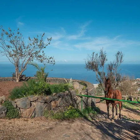 In Tenerife With Private Garden Nyaraló *