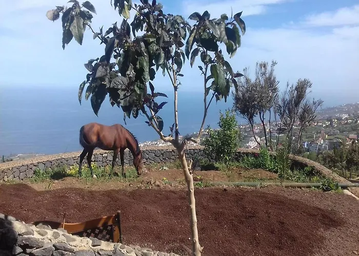 Ferienhaus In Tenerife With Private Garden *
