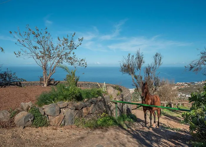 In Tenerife With Private Garden Ferienhaus *