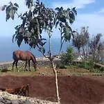 Vakantiehuis In Tenerife With Private Garden *