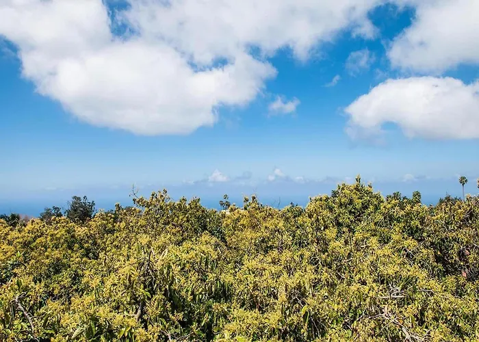 In Tenerife With Private Garden Casa vacanze *