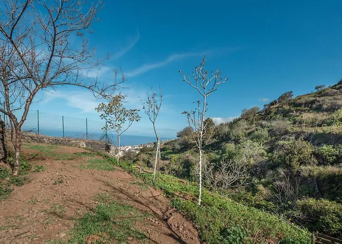 Casa vacanze In Tenerife With Private Garden