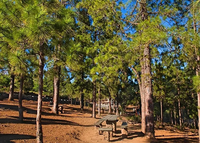 In Tenerife With Private Garden *